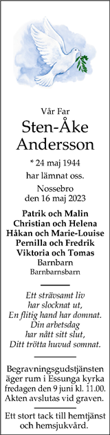 Östgöta Correspondenten,Nya Lidköpings-Tidningen,Webbannons