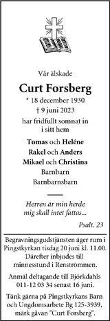 Dagen