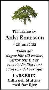 Blekinge Läns Tidning,Sydöstran