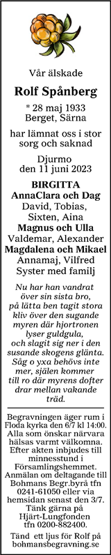 Borlänge Tidning,Falu-Kuriren,Södra Dalarnes Tidning,Nya Ludvika Tidning