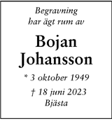 Bojan Irene Johansson