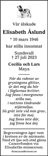 Sundsvalls Tidning