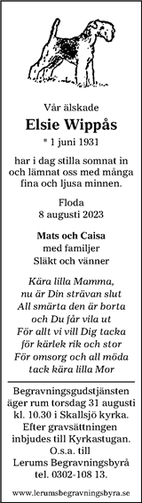 Lerums Tidning (e-tidning)