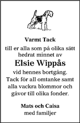 Lerums Tidning (e-tidning)