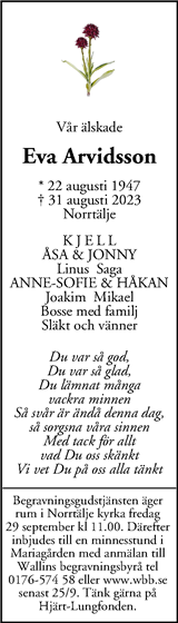 Mitt i Sigtuna