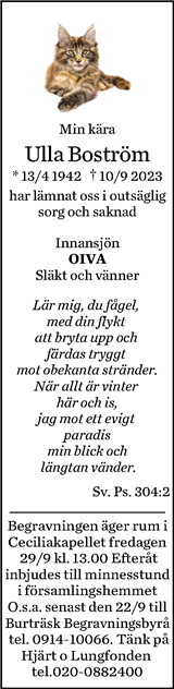 Norran (Norra Västerbotten)