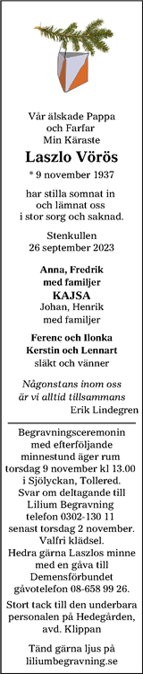 Lerums Tidning (e-tidning)