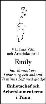 Vimmerby Tidning,Kinda Posten