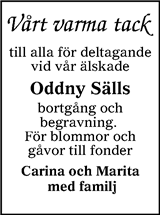 Ljusnan