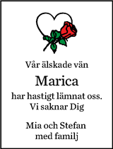 Norran (Norra Västerbotten)