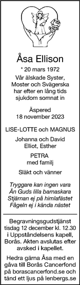 Borås Tidning