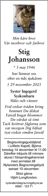 Tidningen 7