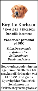 Norran (Norra Västerbotten)