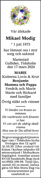 Falköpings Tidning,Västgöta-Bladet,Skaraborg Läns Tidning