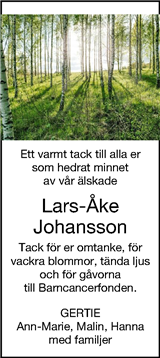 Borås Tidning