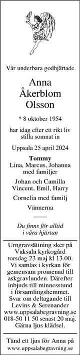 Upsala Nya Tidning