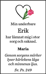 Norran (Norra Västerbotten)