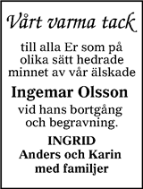 Ljusnan