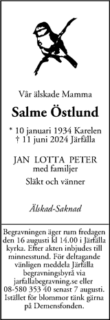 Mitt i Järfälla