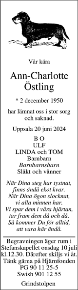 Upsala Nya Tidning