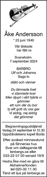 Borås Tidning