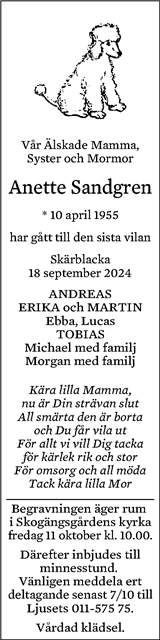 Norrköpings Tidningar