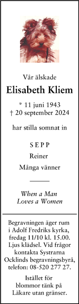 Svenska Dagbladet
