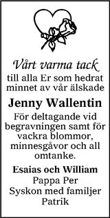 Tranås Tidning,Smålands-Tidningen,Smålands Dagblad,Vetlanda Posten