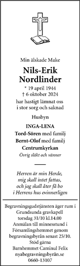 Dagen