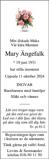 Upsala Nya Tidning