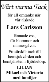 Markbladet