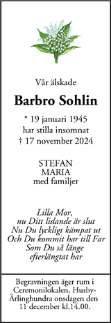 Mitt i Sigtuna