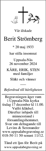 Upsala Nya Tidning