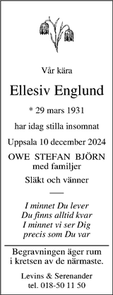 Upsala Nya Tidning