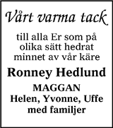 Lokalt i Dalarna (fd Annonsbladet Dalarna)