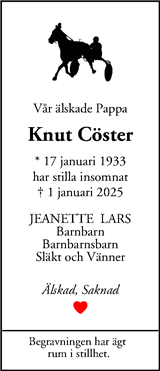 Mitt i Västerort
