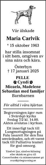Lokalt i Dalarna (fd Annonsbladet Dalarna)
