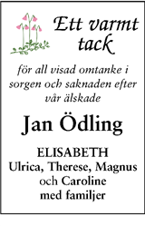 Tidningen 7