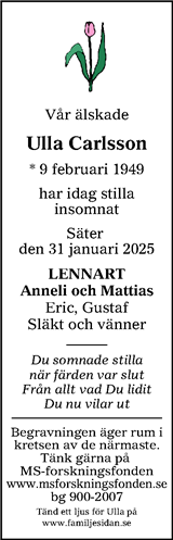 Lokalt i Dalarna (fd Annonsbladet Dalarna)