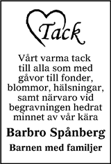 Lokalt i Dalarna (fd Annonsbladet Dalarna)