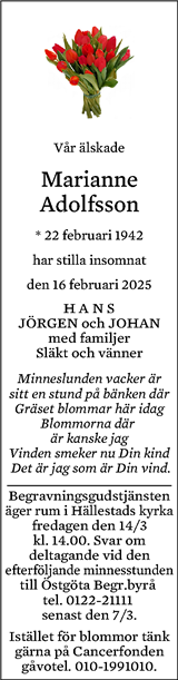 Norrköpings Tidningar,Östgöta Correspondenten