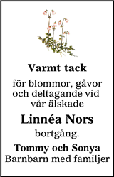 Tranås Tidning,Smålands-Tidningen,Smålands Dagblad,Vetlanda Posten