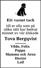 Sundsvalls Tidning