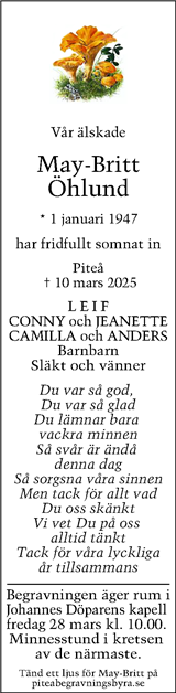 Piteå-Tidningen
