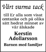 Falköpings Tidning,Västgöta-Bladet,Skaraborg Läns Tidning