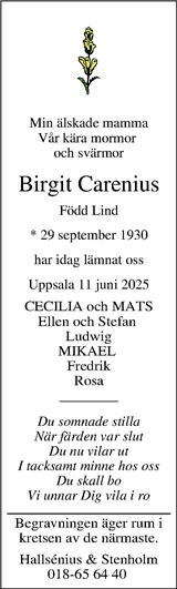 Upsala Nya Tidning