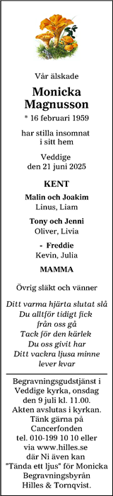 Hallands Nyheter