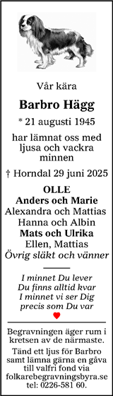 Lokalt i Dalarna (fd Annonsbladet Dalarna)