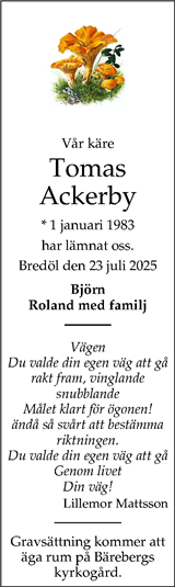 Nya Lidköpings-Tidningen