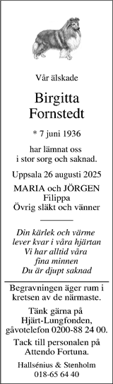 Upsala Nya Tidning
